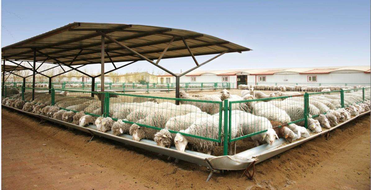 養(yǎng)殖場(chǎng)安裝視頻監(jiān)控