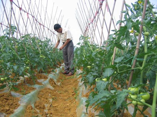 智慧农业视频监控应用